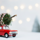 Illustration for article titled Breckenridge Brewery to deliver free Christmas trees as part of holiday promo-ho-hotion